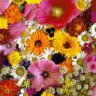 ArtFlower